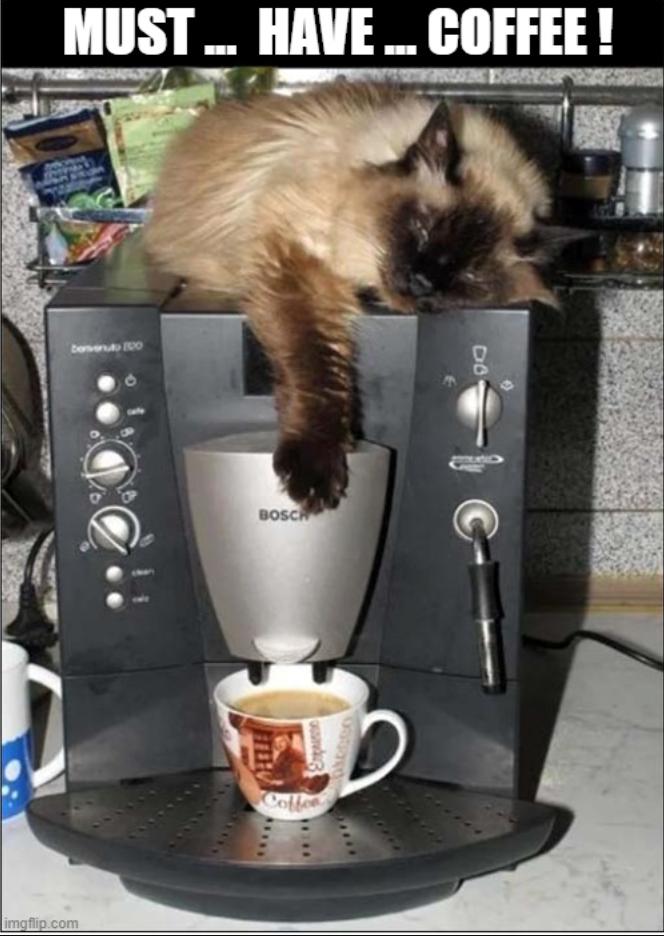 MUST... HAVE... COFFEE! bon 100 imgflip.com BOSCH Coffee DO