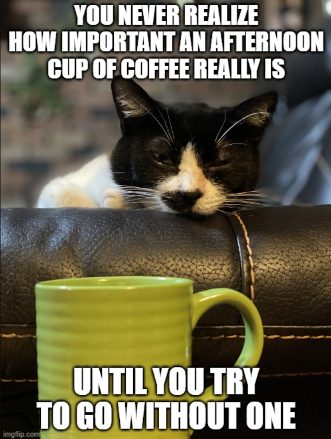 YOU NEVER REALIZE HOW IMPORTANT AN AFTERNOON CUP OF COFFEE REALLY IS imgflip.com UNTIL YOU TRY TO GO WITHOUT ONE
