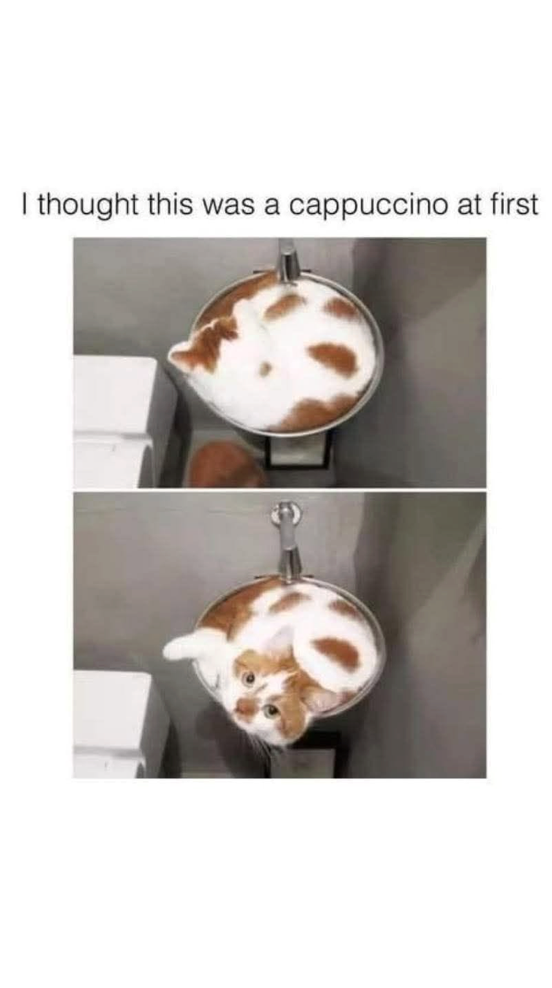I thought this was a cappuccino at first
