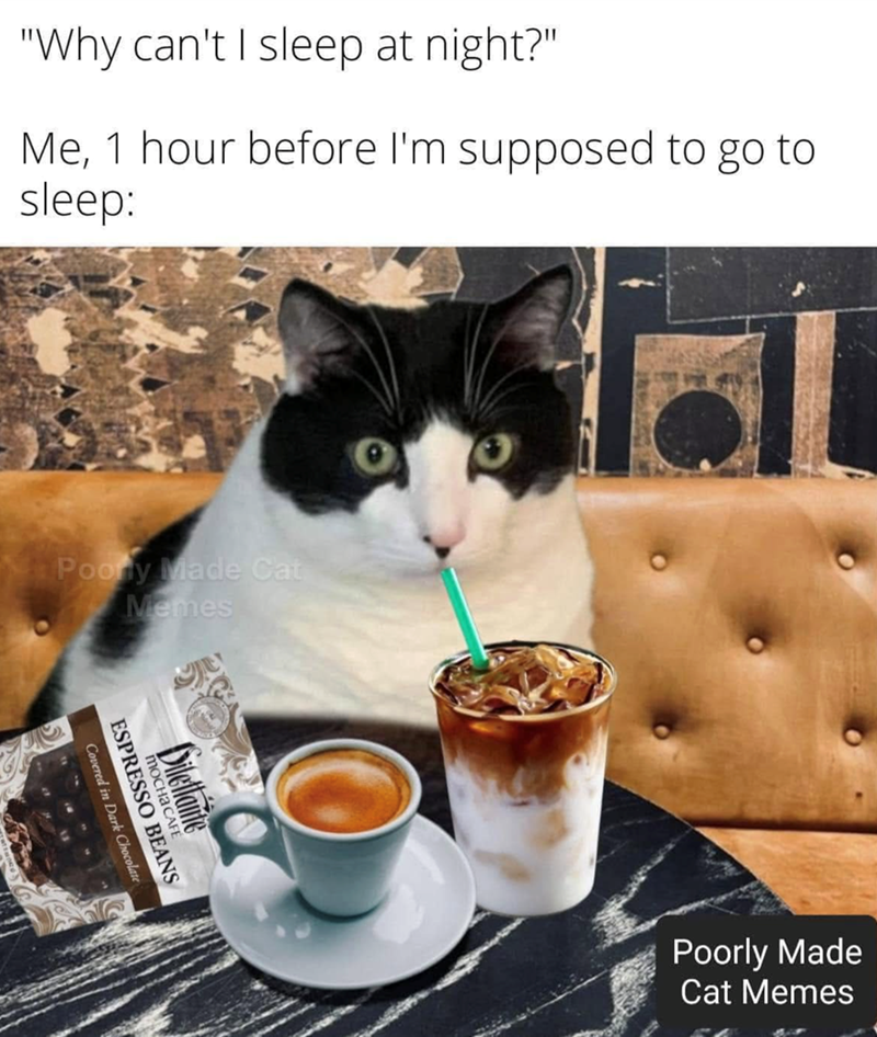 "Why can't I sleep at night?" Me, 1 hour before I'm supposed to go to sleep: Poony Made Cat Memes Covered in Dark Chocolate ESPRESSO BEANS MOCHA CAFE Vilellaite Poorly Made Cat Memes
