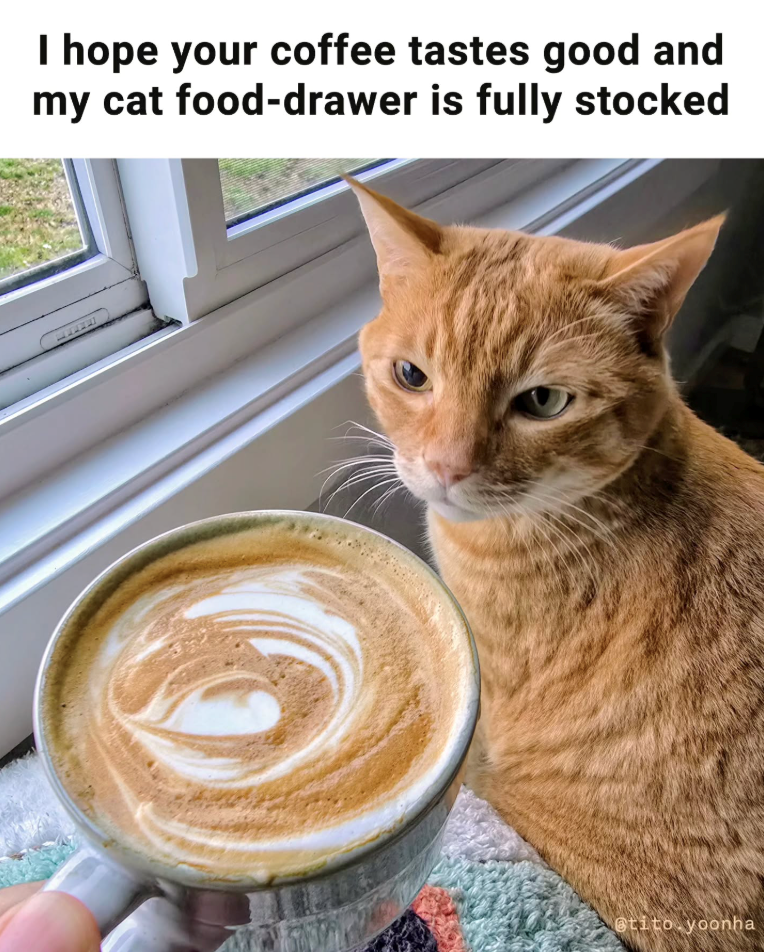 I hope your coffee tastes good and my cat food-drawer is fully stocked @tito yoonha