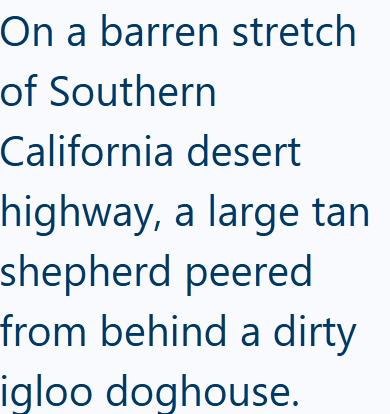 On a barren stretch of Southern California desert highway, a large tan shepherd peered from behind a dirty igloo doghouse.