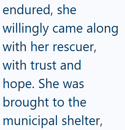 endured, she willingly came along with her rescuer, with trust and hope. She was brought to the municipal shelter,