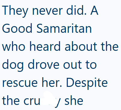 They never did. A Good Samaritan who heard about the dog drove out to rescue her. Despite the cru ✓ she