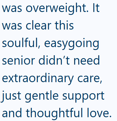 was overweight. It was clear this soulful, easygoing senior didn't need extraordinary care, just gentle support and thoughtful love.