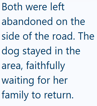 Both were left abandoned on the side of the road. The dog stayed in the area, faithfully waiting for her family to return.