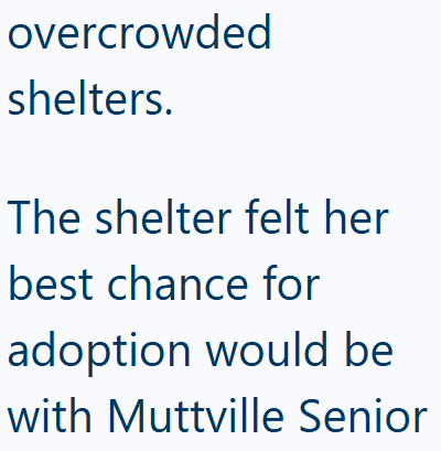 overcrowded shelters. The shelter felt her best chance for adoption would be with Muttville Senior