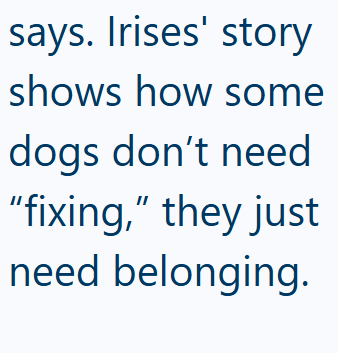 says. Irises' story shows how some dogs don't need "fixing," they just need belonging.