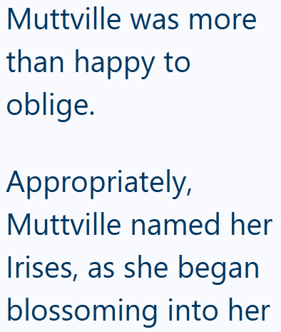 Muttville was more than happy to oblige. Appropriately, Muttville named her Irises, as she began blossoming into her