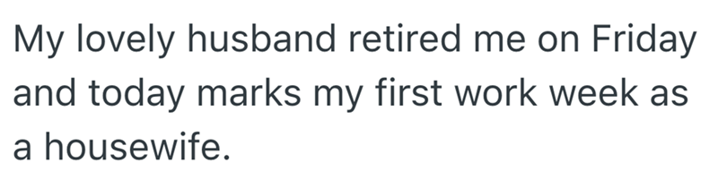 My lovely husband retired me on Friday and today marks my first work week as a housewife.