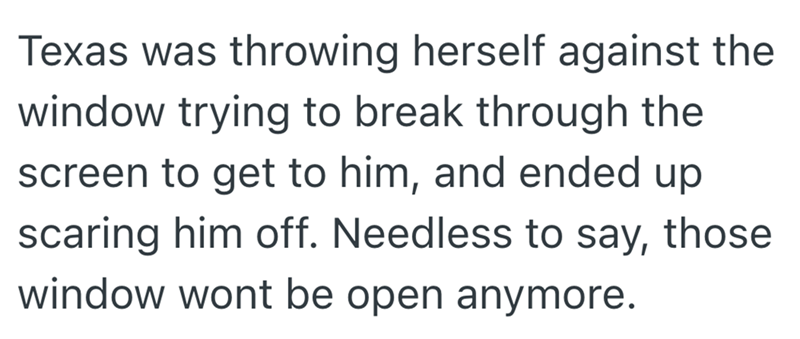 Texas was throwing herself against the window trying to break through the screen to get to him, and ended up scaring him off. Needless to say, those window wont be open anymore.