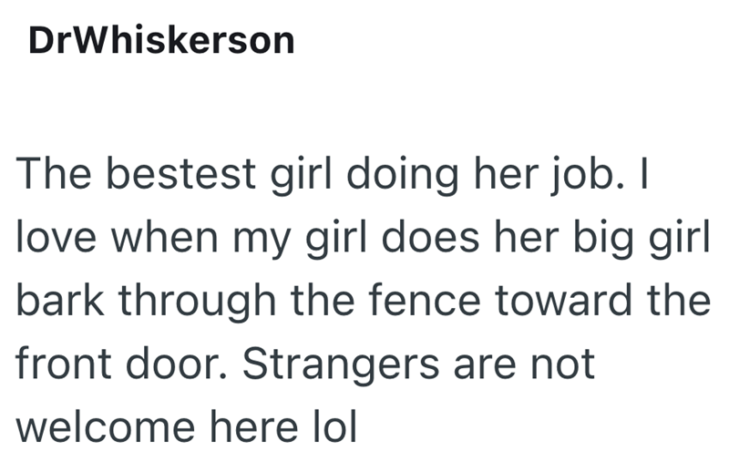 DrWhiskerson The bestest girl doing her job. I love when my girl does her big girl bark through the fence toward the front door. Strangers are not welcome here lol