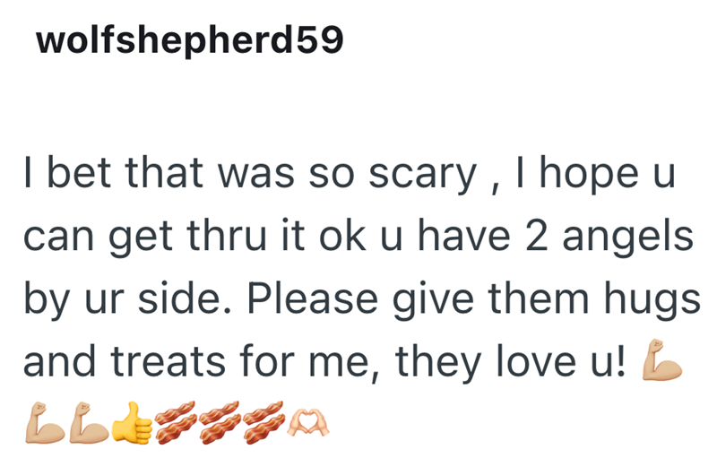 wolfshepherd59 I bet that was so scary, I hope u can get thru it ok u have 2 angels by ur side. Please give them hugs and treats for me, they love u! BLA