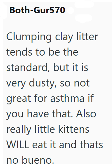 Both-Gur570 Clumping clay litter tends to be the standard, but it is very dusty, so not great for asthma if you have that. Also really little kittens WILL eat it and thats no bueno.