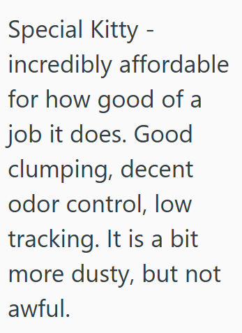 Special Kitty - incredibly affordable for how good of a job it does. Good clumping, decent odor control, low tracking. It is a bit more dusty, but not awful.