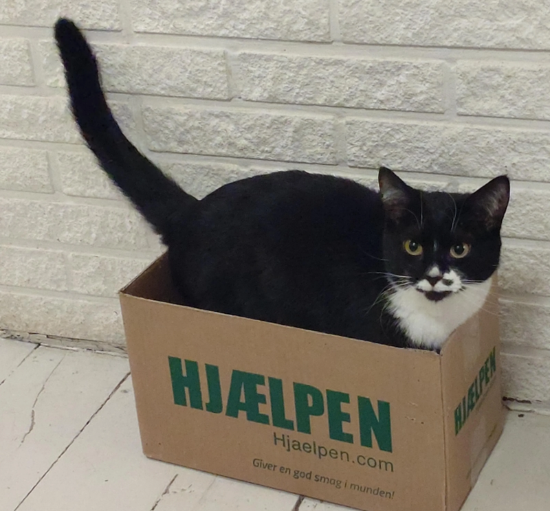 HJÆLPEN Hjaelpen.com Giver en god smag i munden!