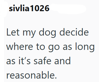 sivlia 1026 Let my dog decide where to go as long as it's safe and reasonable.