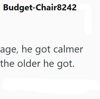 Budget-Chair8242 age, he got calmer the older he got.