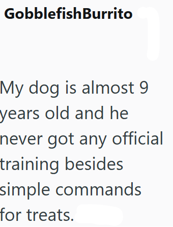 GobblefishBurrito My dog is almost 9 years old and he never got any official training besides simple commands for treats.