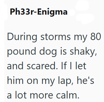 Ph33r-Enigma During storms my 80 pound dog is shaky, and scared. If I let him on my lap, he's a lot more calm.
