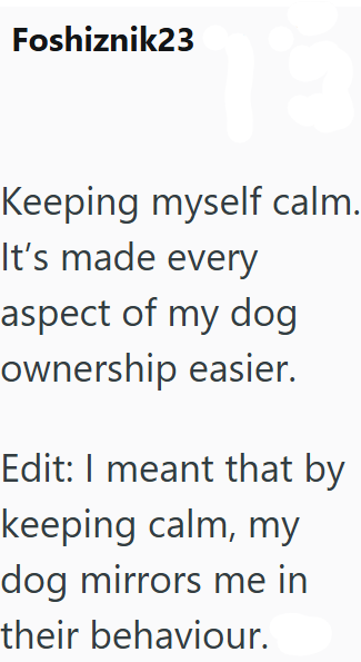 Foshiznik23 Keeping myself calm. It's made every aspect of my dog ownership easier. Edit: I meant that by keeping calm, my dog mirrors me in their behaviour.