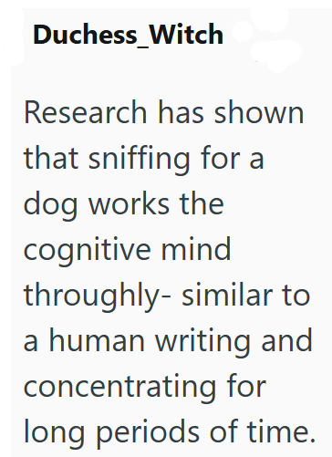 Duchess Witch Research has shown that sniffing for a dog works the cognitive mind throughly-similar to a human writing and concentrating for long periods of time.