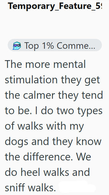 Temporary Feature_5! Top 1% Comme... The more mental stimulation they get the calmer they tend to be. I do two types of walks with my dogs and they know the difference. We do heel walks and sniff walks.