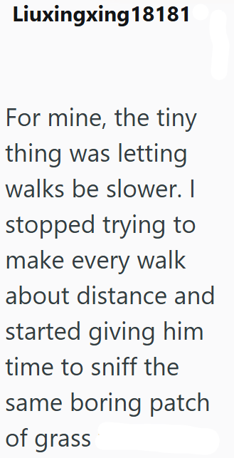 Liuxingxing18181 For mine, the tiny thing was letting walks be slower. I stopped trying to make every walk about distance and started giving him time to sniff the same boring patch of grass