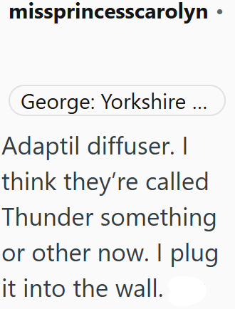missprincesscarolyn⚫ George: Yorkshire ... Adaptil diffuser. I think they're called Thunder something or other now. I plug it into the wall.