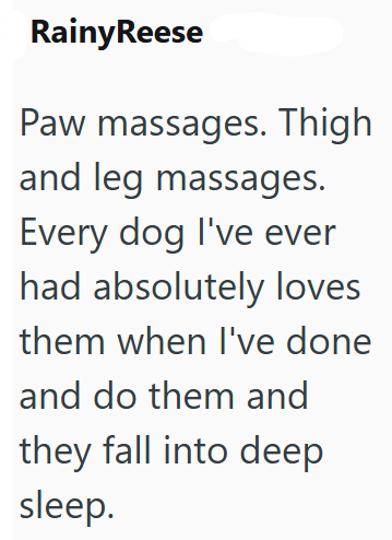 Rainy Reese Paw massages. Thigh and leg massages. Every dog I've ever had absolutely loves them when I've done and do them and they fall into deep sleep.