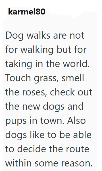 karmel80 Dog walks are not for walking but for taking in the world. Touch grass, smell the roses, check out the new dogs and pups in town. Also dogs like to be able to decide the route within some reason.