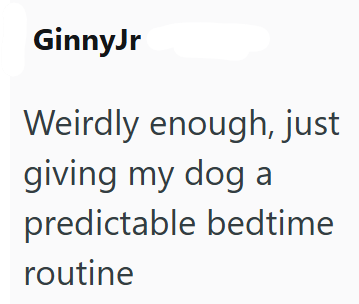 GinnyJr Weirdly enough, just giving my dog a predictable bedtime routine