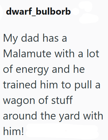 dwarf bulborb My dad has a Malamute with a lot of energy and he trained him to pull a wagon of stuff around the yard with him!