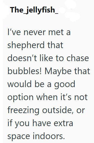 The jellyfish I've never met a shepherd that doesn't like to chase bubbles! Maybe that would be a good option when it's not freezing outside, or if you have extra space indoors.