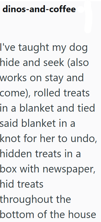 dinos-and-coffee I've taught my dog hide and seek (also works on stay and come), rolled treats in a blanket and tied said blanket in a knot for her to undo, hidden treats in a box with newspaper, hid treats throughout the bottom of the house
