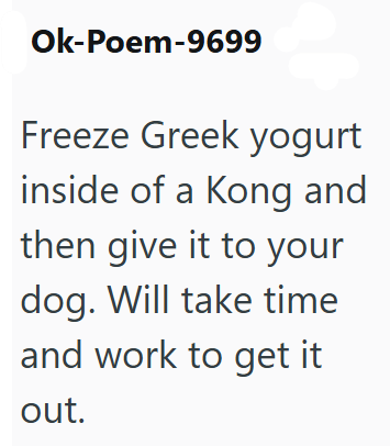 Ok-Poem-9699 Freeze Greek yogurt inside of a Kong and then give it to your dog. Will take time and work to get it out.