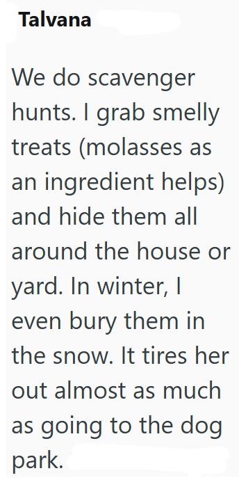 Talvana We do scavenger hunts. I grab smelly treats (molasses as an ingredient helps) and hide them all around the house or yard. In winter, I even bury them in the snow. It tires her out almost as much as going to the dog park.