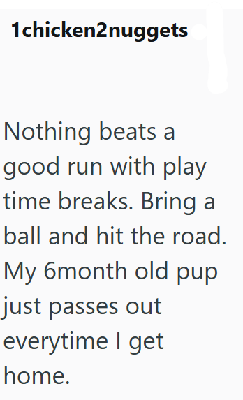 1chicken2nuggets Nothing beats a good run with play time breaks. Bring a ball and hit the road. My 6month old pup just passes out everytime I get home.
