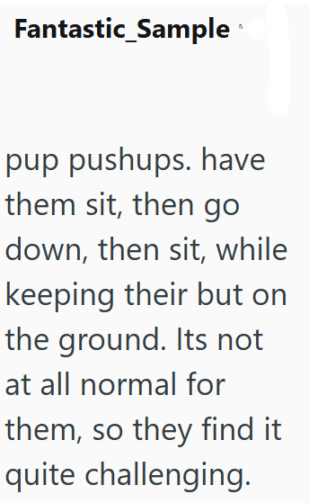 Fantastic_Sample pup pushups. have them sit, then go down, then sit, while keeping their but on the ground. Its not at all normal for them, so they find it quite challenging.