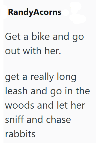 RandyAcorns Get a bike and go out with her. get a really long leash and go in the woods and let her sniff and chase rabbits