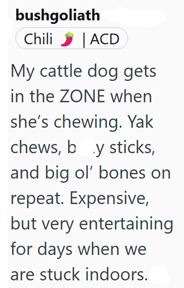 bushgoliath Chili | ACD My cattle dog gets in the ZONE when she's chewing. Yak chews, by sticks, and big ol' bones on repeat. Expensive, but very entertaining for days when we are stuck indoors.