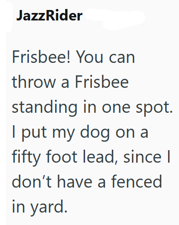 JazzRider Frisbee! You can throw a Frisbee standing in one spot. I put my dog on a fifty foot lead, since I I don't have a fenced in yard.
