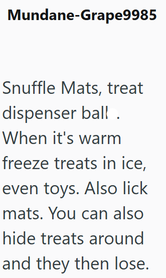 Mundane-Grape9985 Snuffle Mats, treat dispenser ball. When it's warm freeze treats in ice, even toys. Also lick mats. You can also hide treats around and they then lose.