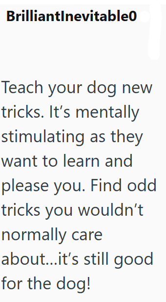 BrilliantInevitable0 Teach your dog new tricks. It's mentally stimulating as they want to learn and please you. Find odd tricks you wouldn't normally care about...it's still good for the dog!