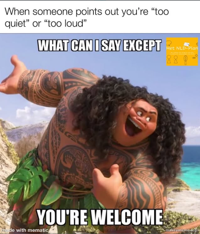 When someone points out you're "too quiet" or "too loud" WHAT CAN I SAY EXCEPT Het NLD-Plan 8323 YOU'RE WELCOME made with mematic makeameme.org