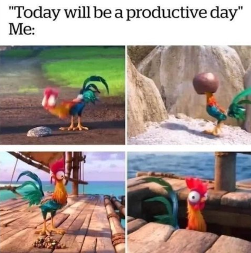 "Today will be a productive day" Me: