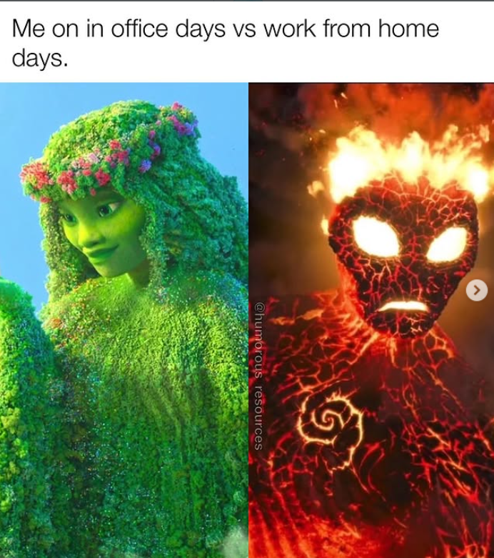 Me on in office days vs work from home days. @humorous resources >