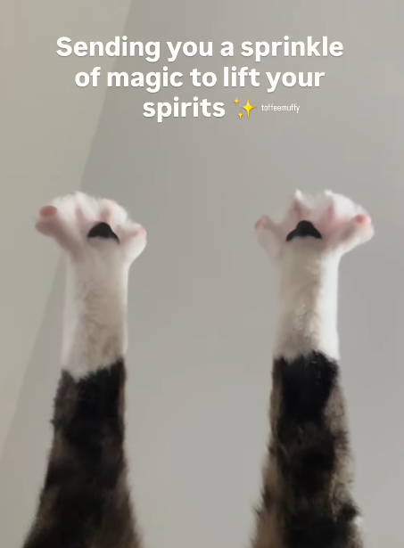 Sending you a sprinkle of magic to lift your spirits +taffemufly