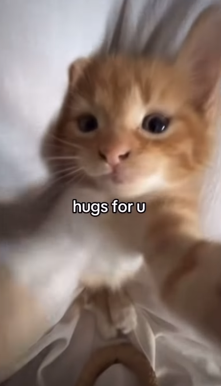 hugs for u