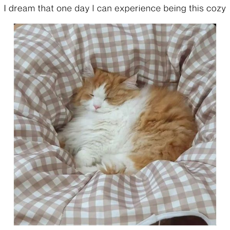 I dream that one day I can experience being this cozy